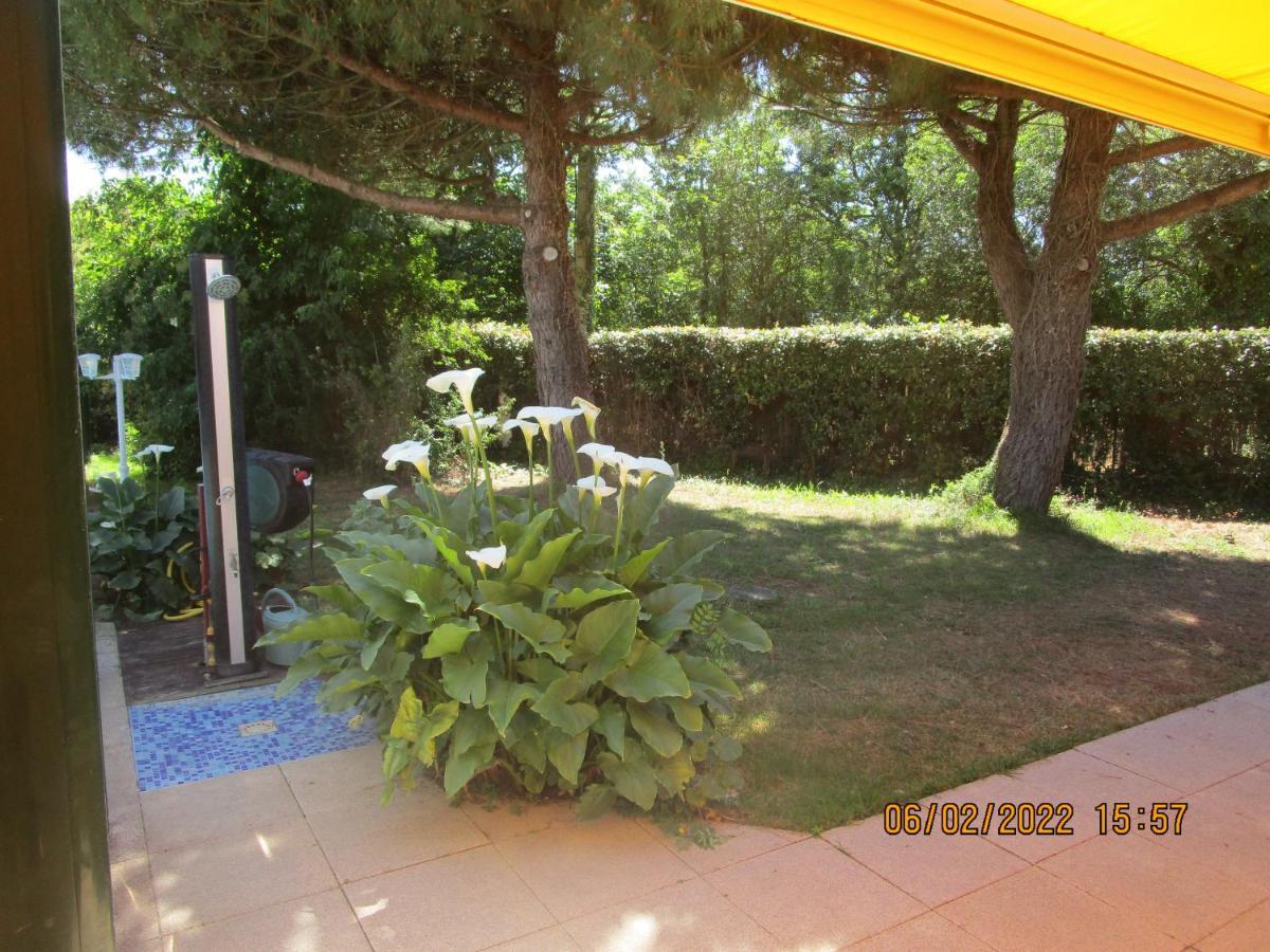 Bed and Breakfast Locatlantique Aytré Exterior foto
